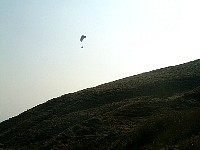 Hang-gliders