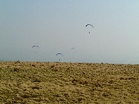 Hang-gliders again!